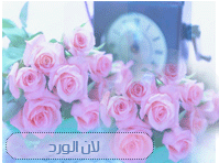 ��� ����� ������ �������� 2012 pic (63).gif